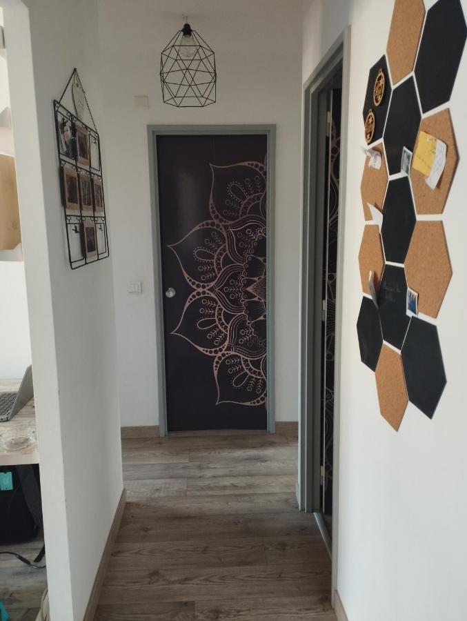 Charmant Appartement 3 Pieces Mandelieu 外观 照片